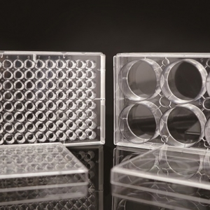 耐思NEST 细胞培养板 Edge 96孔 TC 灭菌  